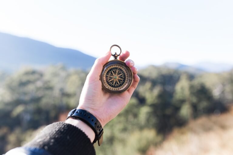 Someone holding a compass against a landscape